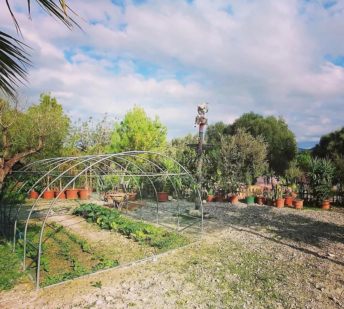 Finca S'Almudaina Farm Finca Villa 12P Etv1135 Ballerics
