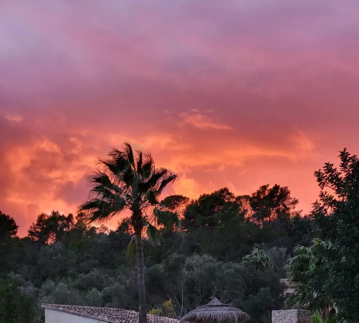 Finca S'Almudaina Farm Finca Villa 12P Etv1135 Ballerics 0*,  إسبانيا
