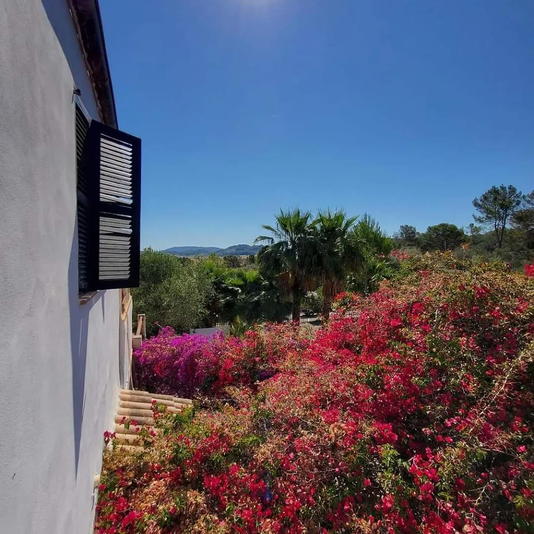 Finca S'Almudaina Farm Finca Villa 12P Etv1135 Ballerics