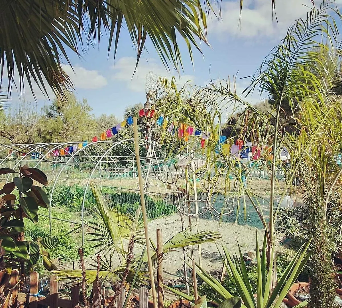 Finca S'Almudaina Farm Finca Villa 12P Etv1135 Ballerics