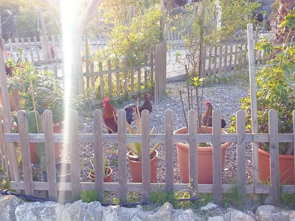 Finca S'Almudaina Farm Finca Villa 12P Etv1135 Ballerics 0*,